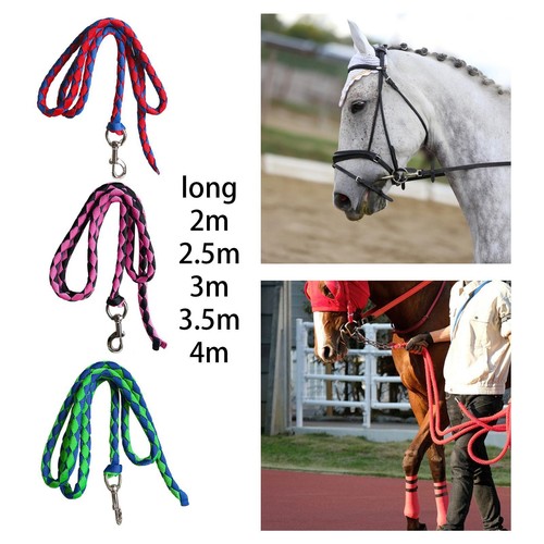 Longe pour chevaux - pour,