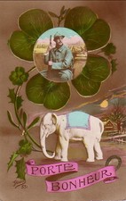 Elephant blanc porte bonheur - elephant,