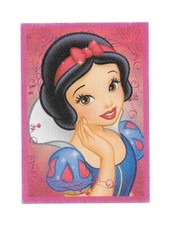 Vignette Disney - Princesse