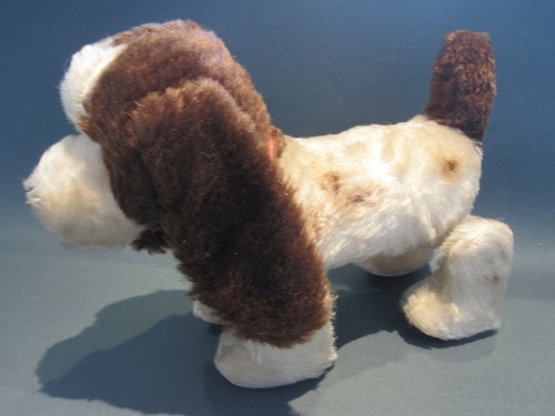 Ancien petit chien - , à