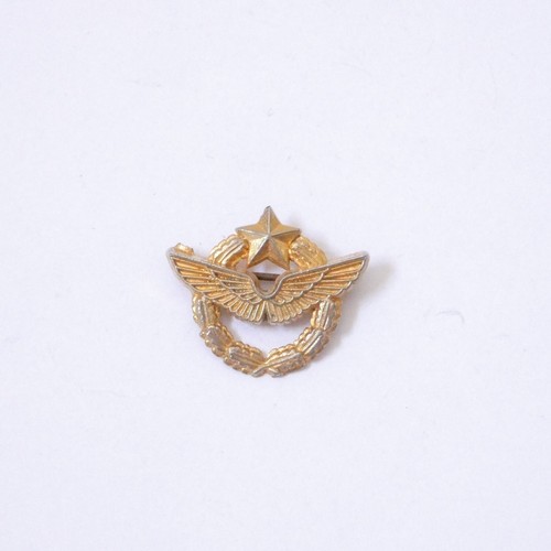 Pins brevet insigne militaire - brevet,