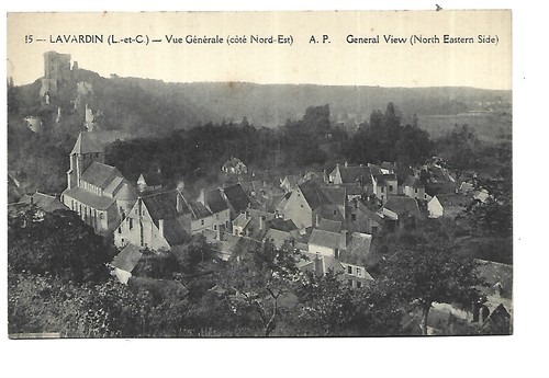 Lavardin vue generale cote - 41,