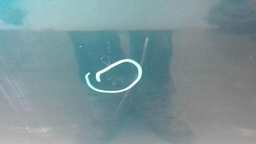 Porte avant gauche - , citroen