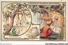 AHHP12-2236 - CHROMOS - CHOCOLAT-GUERIN-BOUTRON - PARIS - ARBRE paletuvier