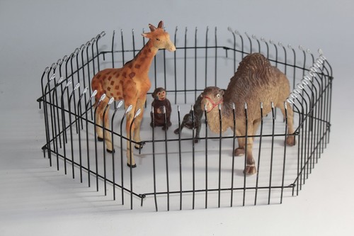 Girafe dromadaire singes - girafe,