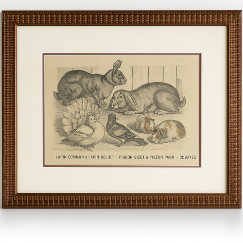 Lithographie image épinal - image, d’Épinal