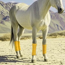 Lot De 4 Guêtres Pour Chevaux