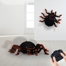 Wall Climbing Spider