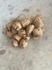 Mandia ( Lot 20 Graine Mandia)