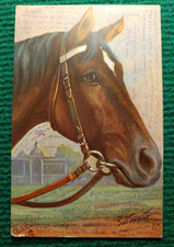 CPA - ILLUSTRATEUR PAUL THOMAS - CHEVAL - OILETTE