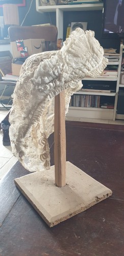 Coiffe ancienne dentelle ile - dentelle,
