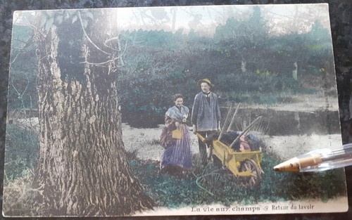 Lavandière laveuse - _**_,
