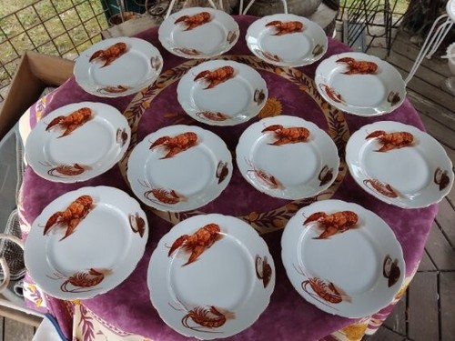 Assiette porcelaine - 12,