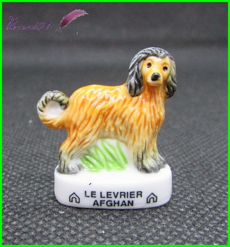 Feve les races - races, chien