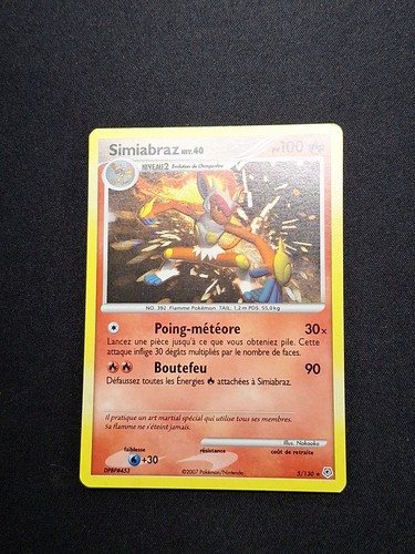 Holo simiabraz 130 dp - holo, 5/130