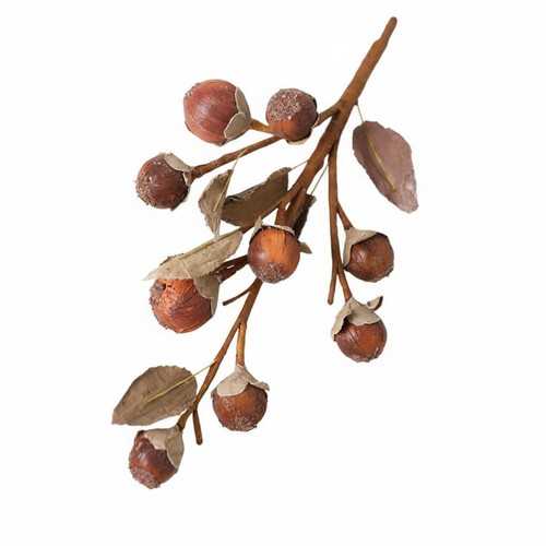 Branche fruits artificiels - fruits,