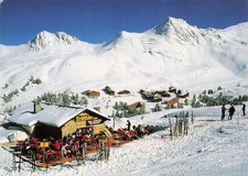 73 BELLE PLAGNE CHALET DE