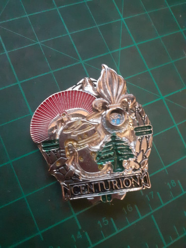 Légion étrangère 1º