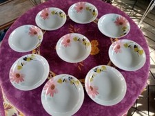 9 Assiettes Creuses Geneviève Lethu 2007 Corsofiorelli Déco Floral Coloré 21,5cm