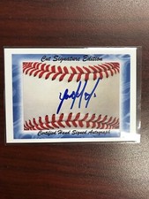 Yordan Alvarez Cut Signatures