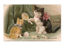 Chats, chaton humanisés . CPA