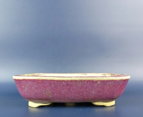 Pot bonsaï japonais shoryu - à,