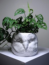 Grand cache pot tête de chouette faïence blanche Italienne vintage