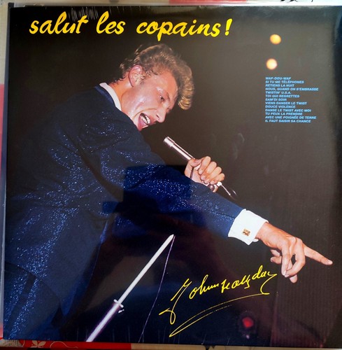 Johnny hallyday vinyl - johnny, 33