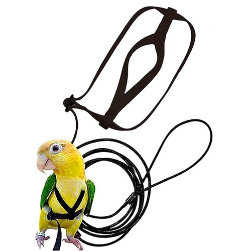 Gilet design perroquet - gilet,