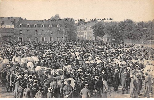 49.AM18619.Cholet.N°67.March?