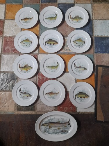 Assiettes plat décor - plat,