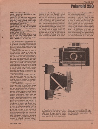 Polaroid 250 180 original - polaroid,