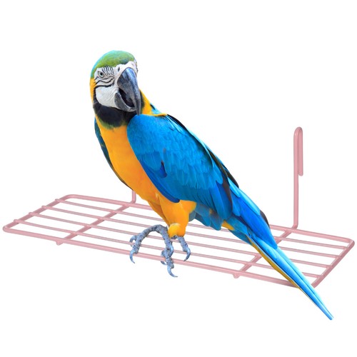 Accessoires pour cage - cage, À