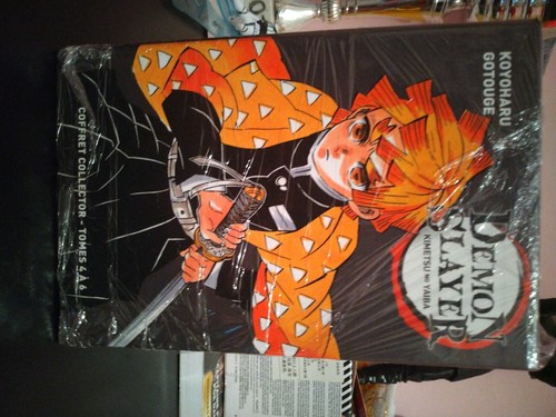 Coffret collector demon slayer - demon,