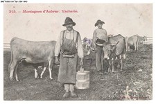 CAR-ADJP5-0316-15 - Montagnes