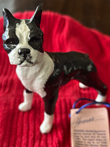 Hevener boston terrier dog - hevener,