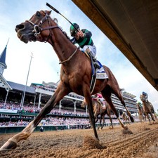 Méthode de TURF:  TOP GAINS