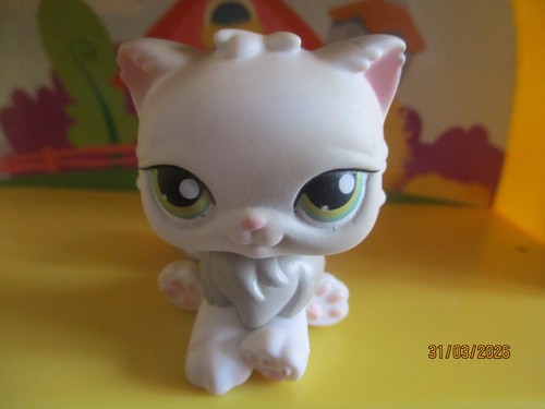 Petshop chat persan 328 - #328, /