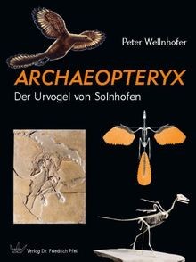 Archaeopteryx der urvogel - archaeopteryx:,