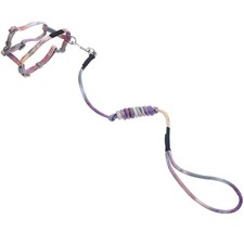  Harnais Pour Petit Chien Laisse De Chat Animaux Compagnie Les Chats