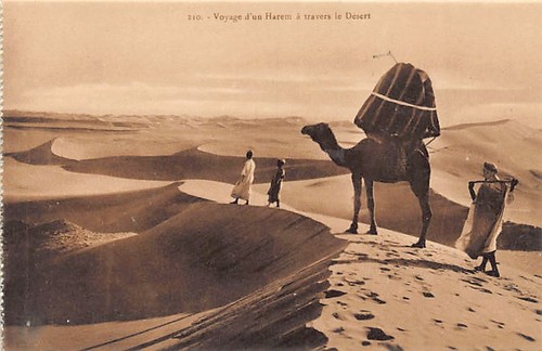 Tunisie voyage ub harem à - harem,