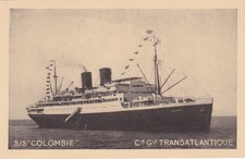 🦬Carte Postale / Postcard /