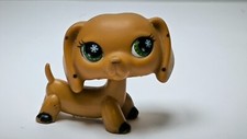 Authentic littlest pet shop - authentic,