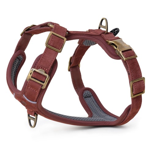 Collier harnais pour - pour, chien