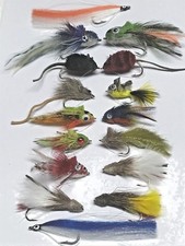 Brochet Et Bass Mouche Ensemble De 16 + Boîte à Taille 4 Jusqu'À 3/0 Avec Herbe