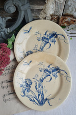 2 ANCIENNES ASSIETTES PLATES YTERRE DE FER IRIS MEDAILLE D'OR GIEN