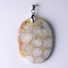★☆ CORAIL FOSSILE 69,47 CT