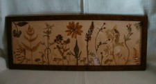ancien herbier composition
