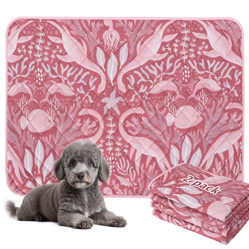Lot tapis educateur - lot, 2