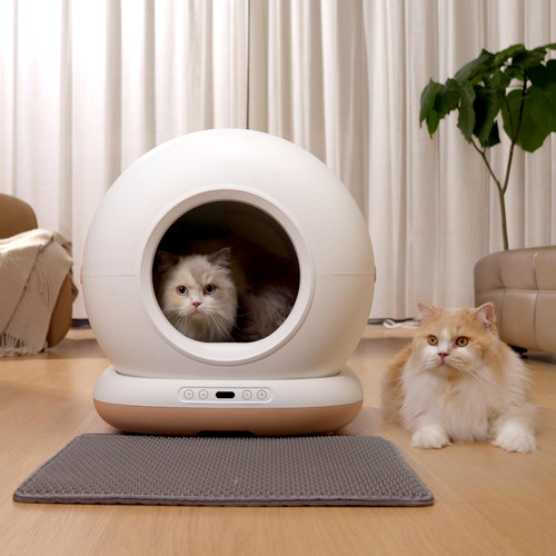 Litière pour chat